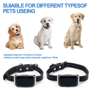 IP67 waterproof pet GPS locator dog cat cattle sheep hound dog Real-time tracking anti-lost GPS + AGPS + LBS + Wifi positioning
IP67 waterproof pet GPS locator dog cat cattle sheep hound dog Real-time tracking anti-lost GPS + AGPS + LBS + Wifi positioning