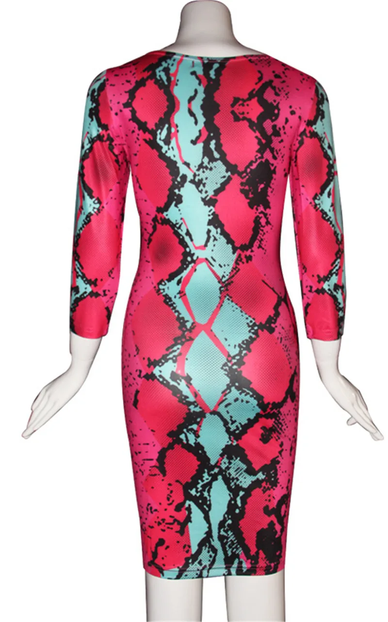 4206216236_728267865