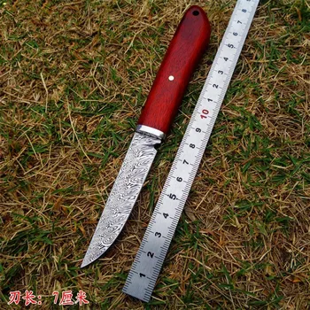 Sharp Hunters Damascus blade Wood handle high hardness hunting fixed knife tactical utility knife outdoor tool camping EDC knive
Sharp Hunters Damascus blade Wood handle high hardness hunting fixed knife tactical utility knife outdoor tool camping EDC knive