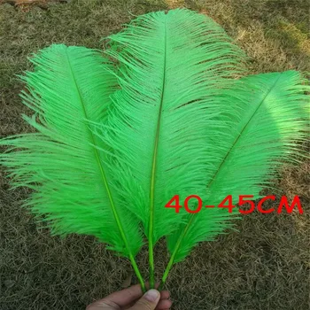 wholesale 10pcs apple green fluffy Ostrich Feather 16-18inch/40-45cm Plume wedding decoration ostrich pluma table centerpieces
wholesale 10pcs apple green fluffy Ostrich Feather 16-18inch/40-45cm Plume wedding decoration ostrich pluma table centerpieces