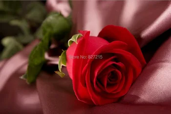 R-2816 Red Rose Printing Ceiling Film/Suitable for Cafe Decoration/wall paper/ ceiling decoration
R-2816 Red Rose Printing Ceiling Film/Suitable for Cafe Decoration/wall paper/ ceiling decoration