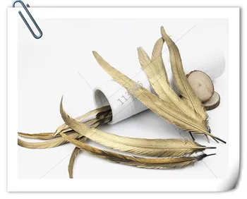 100 Pcs/lot 30-35cm Natural Rooster Feather golden rooster tail feathers for wedding decoration / headdress /DIY accessories
100 Pcs/lot 30-35cm Natural Rooster Feather golden rooster tail feathers for wedding decoration / headdress /DIY accessories