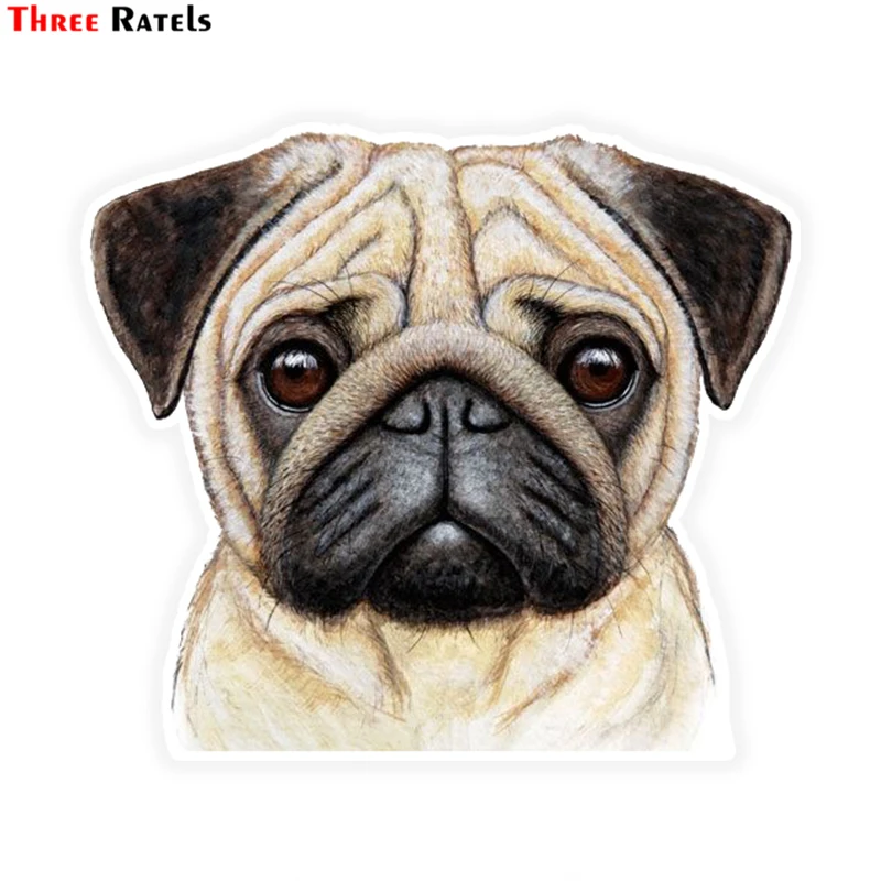 Three Ratels LCS300# 13x11.5cm Pug colorful car sticker funny car stickers styling removable decal
Three Ratels LCS300# 13x11.5cm Pug colorful car sticker funny car stickers styling removable decal