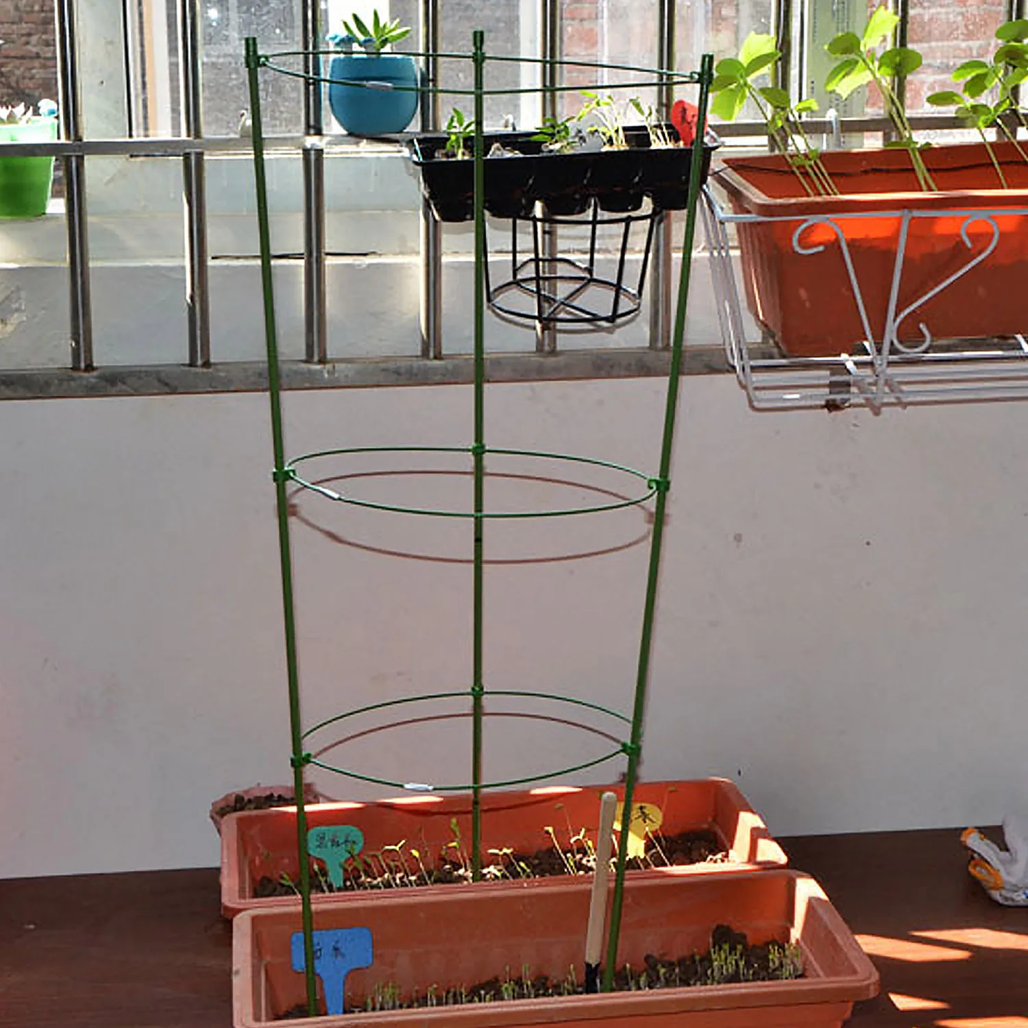 3PCS 45cm Garden Vine Climbing Potted Plants Support Trellis Cage with 3-Ring for Clematis Lily Tomato Cucumber Sweet Pea Lvy
3PCS 45cm Garden Vine Climbing Potted Plants Support Trellis Cage with 3-Ring for Clematis Lily Tomato Cucumber Sweet Pea Lvy
