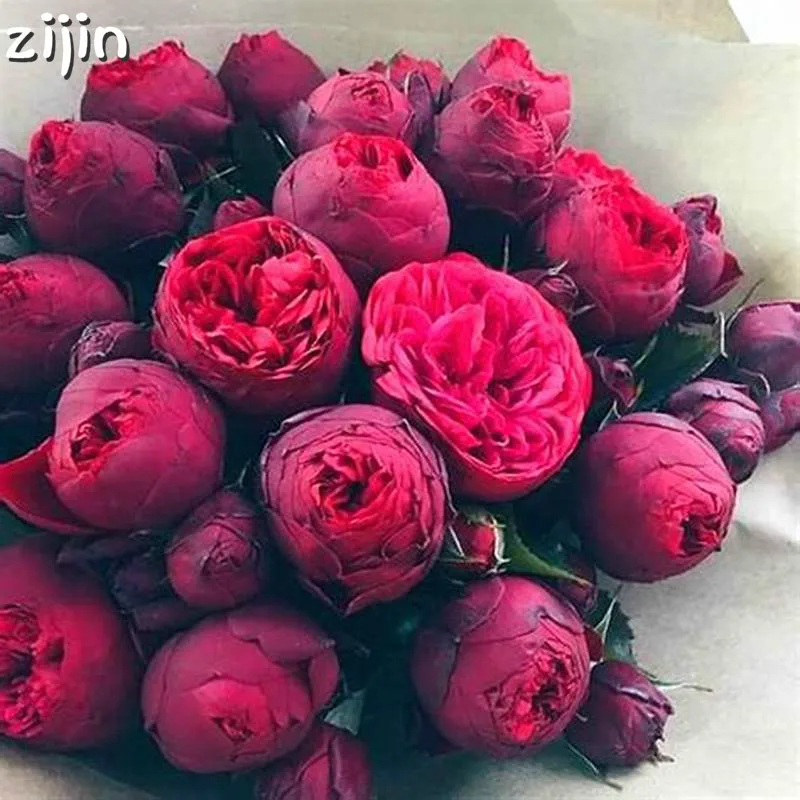 20pcs Bonsai Rare Chinese Peony Planting Greenery Flowers Outdoor Terrace Courtyard Paeonia Flower for Home Garden Decoration
20pcs Bonsai Rare Chinese Peony Planting Greenery Flowers Outdoor Terrace Courtyard Paeonia Flower for Home Garden Decoration