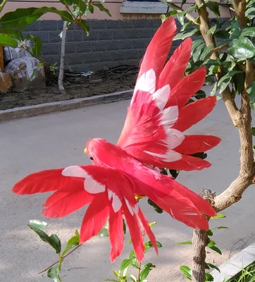 artificial bird spreading wings red feathers bird 12x15cm handicraft prop,home garden decoration gift p1902
artificial bird spreading wings red feathers bird 12x15cm handicraft prop,home garden decoration gift p1902