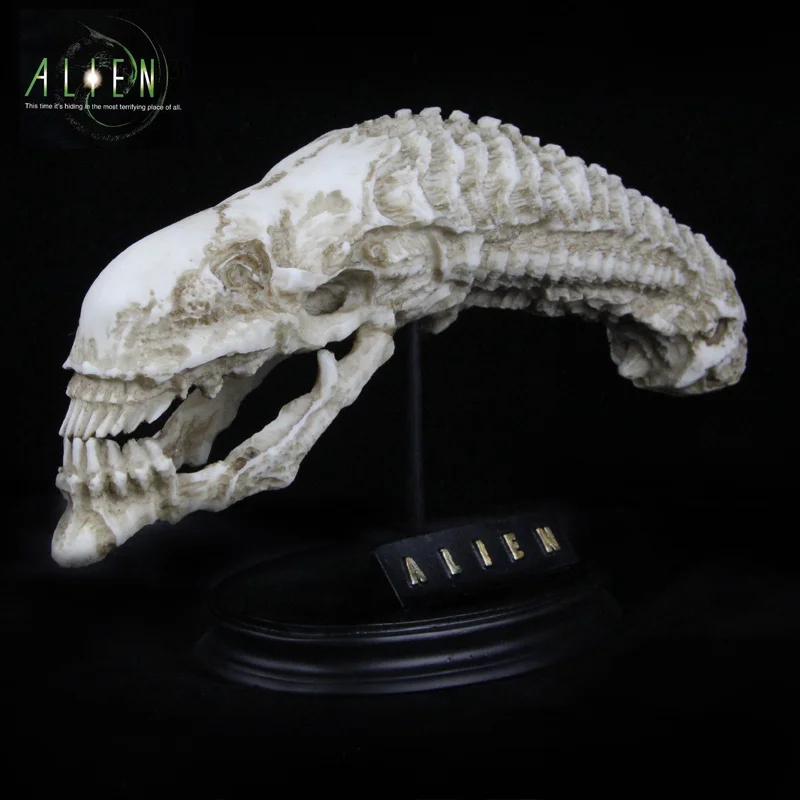 GARAGE KIT Alien 1/6 Scale AVP Alien Xenomorph Queen Cranium Skull Colorful Mold Resin Aniamtion Figure 25cm
GARAGE KIT Alien 1/6 Scale AVP Alien Xenomorph Queen Cranium Skull Colorful Mold Resin Aniamtion Figure 25cm