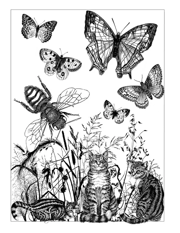 Cats and Butterflies Transparent Clear Silicone Stamp/Seal for DIY scrapbooking/photo album Decorative clear stamp W1702
Cats and Butterflies Transparent Clear Silicone Stamp/Seal for DIY scrapbooking/photo album Decorative clear stamp W1702