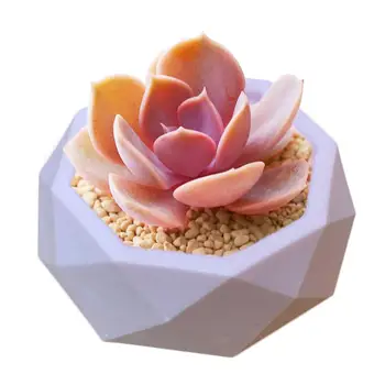 Silicone Mold Geometric Concrete Flower Pot Vase Mould Office Decoration DIY Clay Cementsilica Plaster Silicone Flowerpot Mold
Silicone Mold Geometric Concrete Flower Pot Vase Mould Office Decoration DIY Clay Cementsilica Plaster Silicone Flowerpot Mold