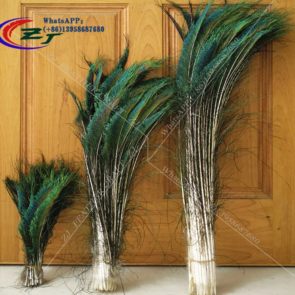 Wholesale Beautiful Natural Peacock Feathers 50 Pcs Symmetrical 30-60CM 12-24"Sword Feather Celebration Table Decoration Plumage
Wholesale Beautiful Natural Peacock Feathers 50 Pcs Symmetrical 30-60CM 12-24"Sword Feather Celebration Table Decoration Plumage