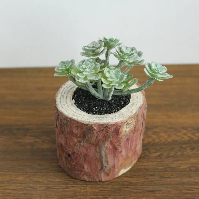 JAROWN Artificial Succulent Plants Potted Set Real Wooden Pile Flowerpot For Home Decoration Office Tabletop Decor (14)