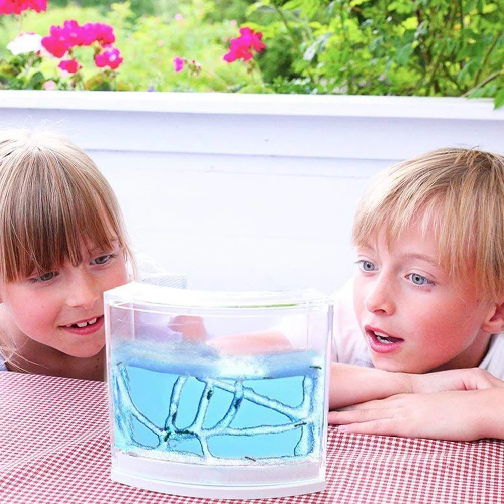 Natural Ant Farm Home Ecological Ant Insect Ecology Box Science Educational Toy for Kids Children Ants Pet Toys Reptile Ant Nest
Natural Ant Farm Home Ecological Ant Insect Ecology Box Science Educational Toy for Kids Children Ants Pet Toys Reptile Ant Nest