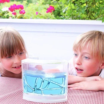 Natural Ant Farm Home Ecological Ant Insect Ecology Box Science Educational Toy for Kids Children Ants Pet Toys Reptile Ant Nest 
Natural Ant Farm Home Ecological Ant Insect Ecology Box Science Educational Toy for Kids Children Ants Pet Toys Reptile Ant Nest