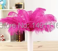 Wholesale 50 pcs / lot Beautiful Rose ostrich feather 14-16inches / 35-40cm DIY jewelry decoration / wedding celebration
Wholesale 50 pcs / lot Beautiful Rose ostrich feather 14-16inches / 35-40cm DIY jewelry decoration / wedding celebration