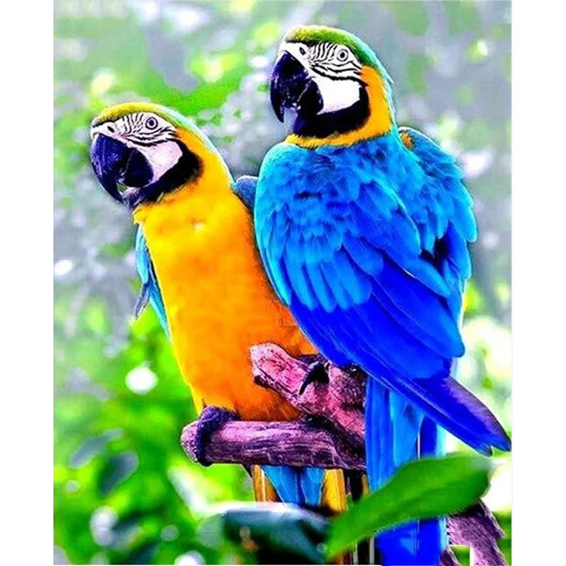 Full Square/Round Drill 5D DIY Diamond Painting "Couple parrots" Embroidery Cross Stitch Mosaic Home Decor Gift
Full Square/Round Drill 5D DIY Diamond Painting "Couple parrots" Embroidery Cross Stitch Mosaic Home Decor Gift