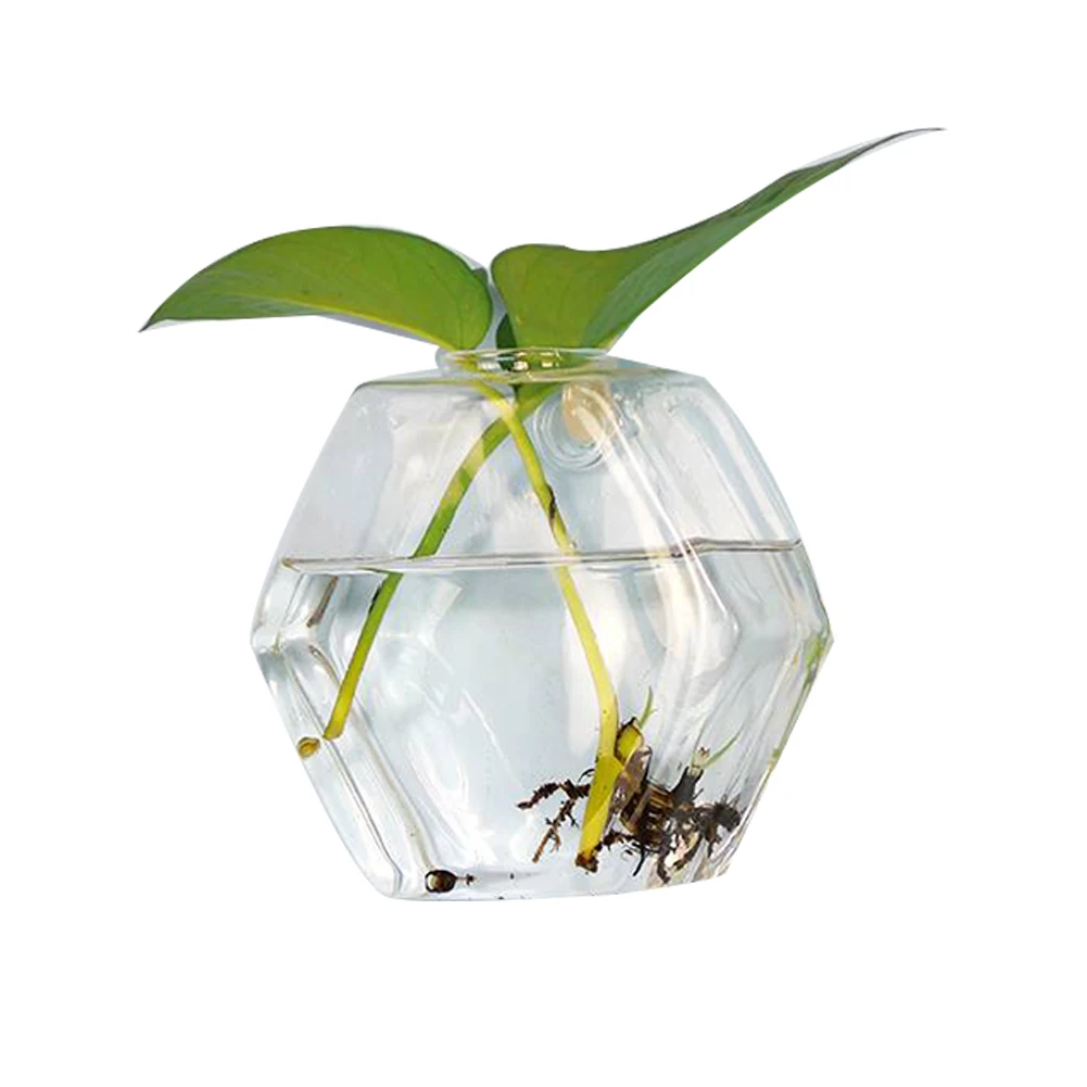 Creative Wall Hanging Transparent Glass Vase Hydroponic Living Room Home Decor Device With 1 Free No-Damage Hook (Hexagon Shape)
Creative Wall Hanging Transparent Glass Vase Hydroponic Living Room Home Decor Device With 1 Free No-Damage Hook (Hexagon Shape)