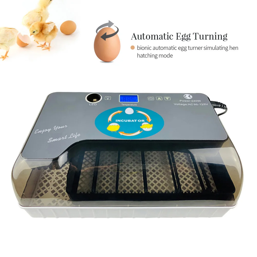 Automatic Eggs Hatcher Digital Egg Incubator Hatchery Machine Eggs Poultry Hatcher with Eggtester For Farm Animal Feeding
Automatic Eggs Hatcher Digital Egg Incubator Hatchery Machine Eggs Poultry Hatcher with Eggtester For Farm Animal Feeding
