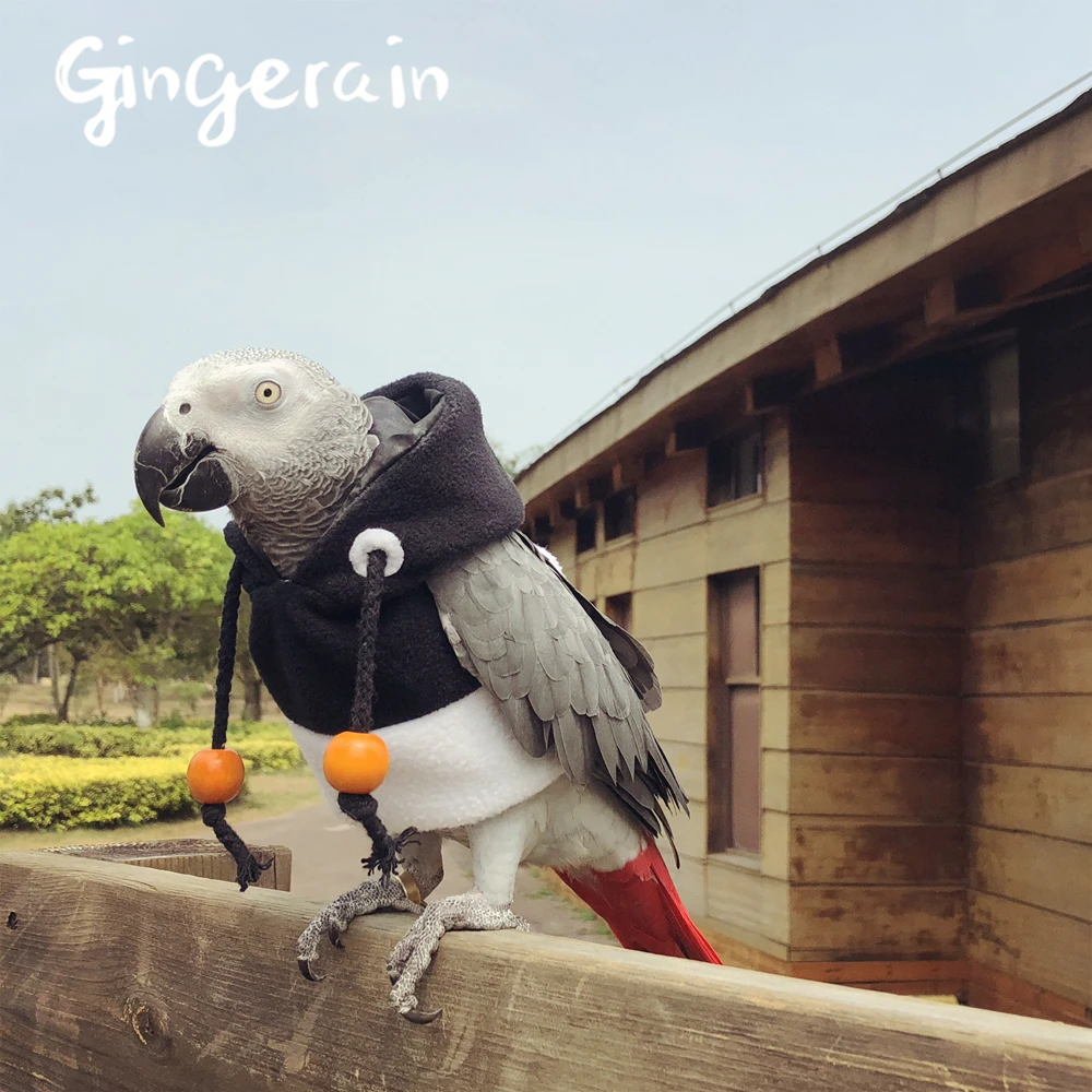 Gingerain Bird clothes Parrot clothes fleeting time original hand-made custom bird clothes Hooded Sweater fleeting time
Gingerain Bird clothes Parrot clothes fleeting time original hand-made custom bird clothes Hooded Sweater fleeting time