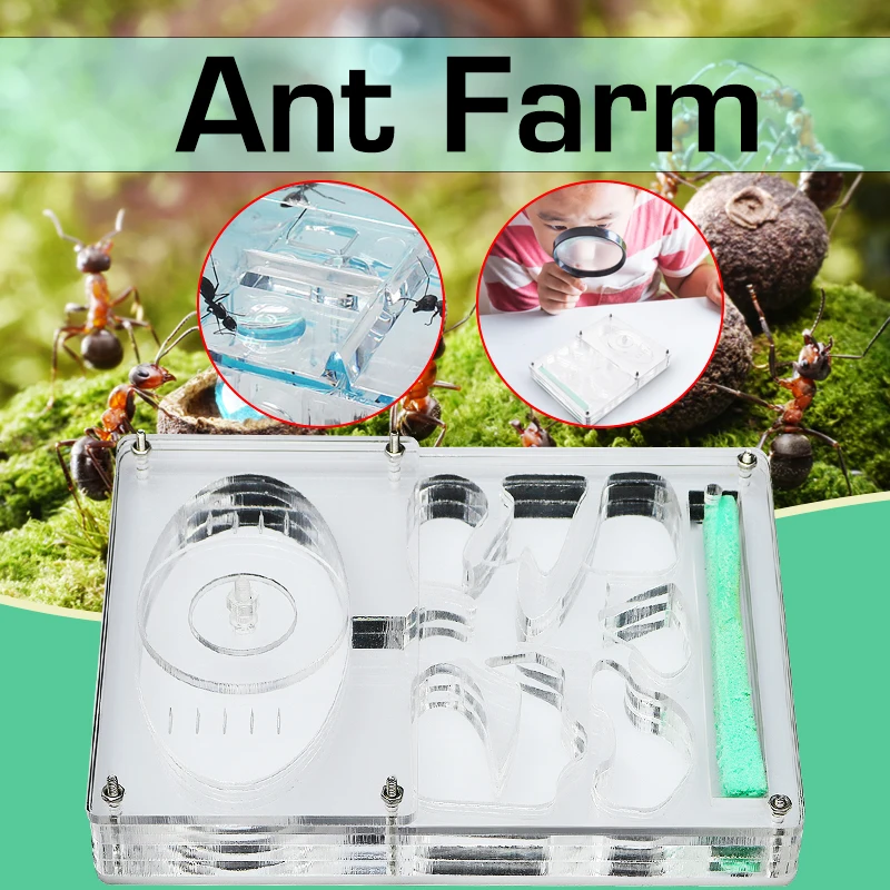 Ants Farm Ants House Castle Colorful Insects Terrarium Ants Cage Insects Box Nursery Ecological Educational Model Toy
Ants Farm Ants House Castle Colorful Insects Terrarium Ants Cage Insects Box Nursery Ecological Educational Model Toy