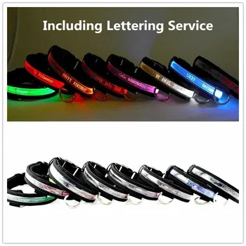 PD168 DIY Pet LED Collar Night Safety Glow Flashing Dog Cat Collars Including lettering service lettering name,tel,address
PD168 DIY Pet LED Collar Night Safety Glow Flashing Dog Cat Collars Including lettering service lettering name,tel,address