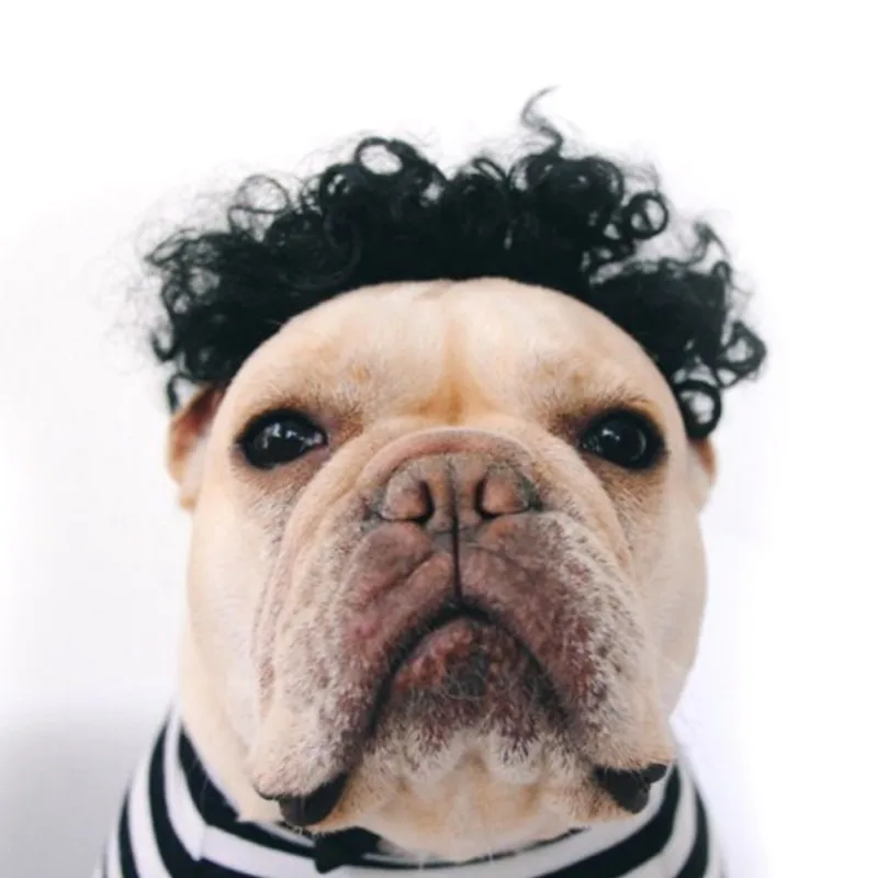 Funny Dog Wig Colorful Soft Synthetic Hair Dogs Cute Cap For Cosplay Halloween Costume Fancy Dress Lovely Gift For Pet Dog Cat
Funny Dog Wig Colorful Soft Synthetic Hair Dogs Cute Cap For Cosplay Halloween Costume Fancy Dress Lovely Gift For Pet Dog Cat