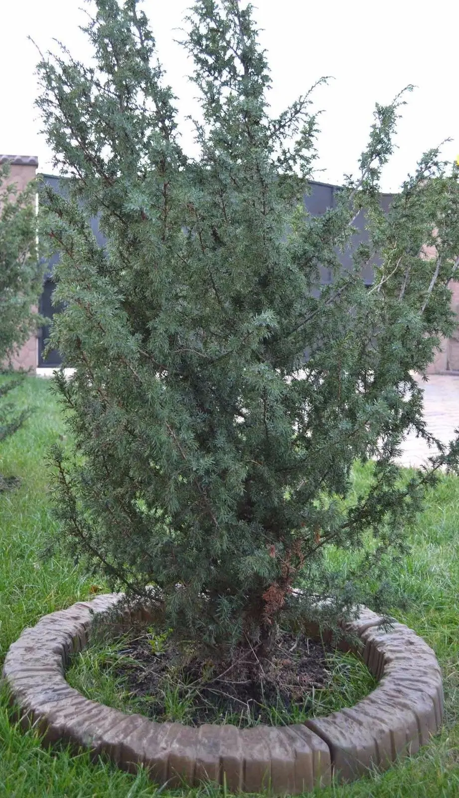 Popular Garden Stone EdgingBuy Cheap Garden Stone Edging lots from