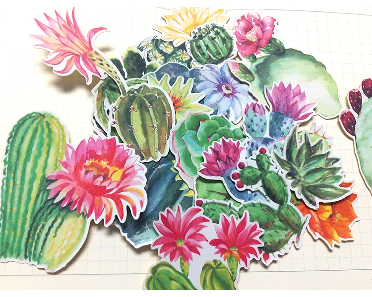18pcs cute cactus meaty plants Stickers Paper Sealing Stickers Crafts And Scrapbooking book Decorative sticker DIY Stationery
18pcs cute cactus meaty plants Stickers Paper Sealing Stickers Crafts And Scrapbooking book Decorative sticker DIY Stationery