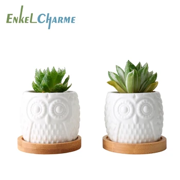 2 Set Ceramic Succulent Flowerpot White Owl Flowerpots With Bamboo Tray Holder Cute Cactus Flower Pots Bonsai Planters Desktop
2 Set Ceramic Succulent Flowerpot White Owl Flowerpots With Bamboo Tray Holder Cute Cactus Flower Pots Bonsai Planters Desktop