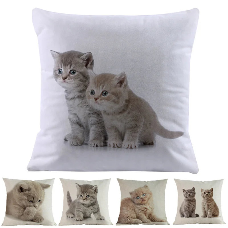 Cute Small Cats British Short Hair Kitten Linen Short Plush Throw Pillow Case Home Pets Store Car Sofa Decorative Cushion Cover
Cute Small Cats British Short Hair Kitten Linen Short Plush Throw Pillow Case Home Pets Store Car Sofa Decorative Cushion Cover