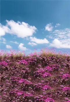 LIFE MAGIC BOX Purple Flowers 150x200cm Cool Backgrounds floral photo backdrop scenic photography backdrops N10273
LIFE MAGIC BOX Purple Flowers 150x200cm Cool Backgrounds floral photo backdrop scenic photography backdrops N10273