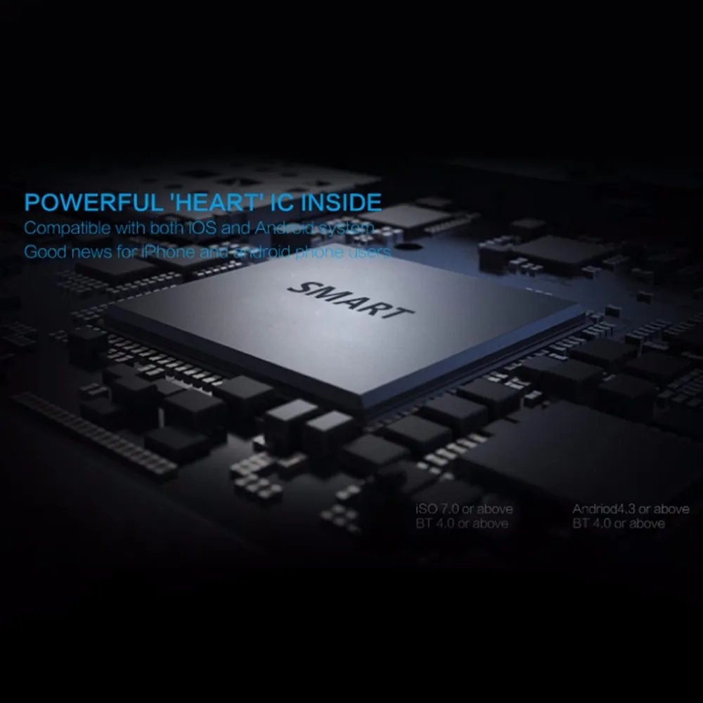 ZN341501-C-12-1