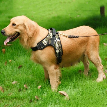 Small Medium Big Dog Harness Comfortable and Breathable O Style Strap Harness for All Breed Pets 
Small Medium Big Dog Harness Comfortable and Breathable O Style Strap Harness for All Breed Pets
