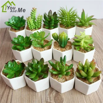 1 PC Small Flower Bonsai Artificial Succulent PVC Cactus Lotus Plant + White Ceramics Flowerpot Home Garden Decoration
1 PC Small Flower Bonsai Artificial Succulent PVC Cactus Lotus Plant + White Ceramics Flowerpot Home Garden Decoration