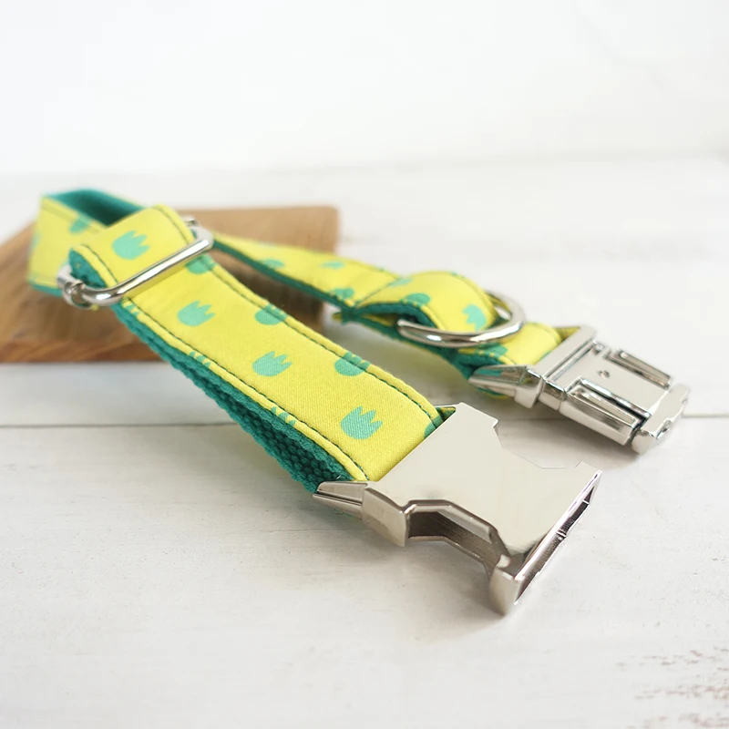Pet Dog Collars (16)