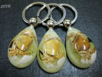 free shipping 24pcs fashion gold crab stone shell glow in dark fine stainless key-chains
free shipping 24pcs fashion gold crab stone shell glow in dark fine stainless key-chains