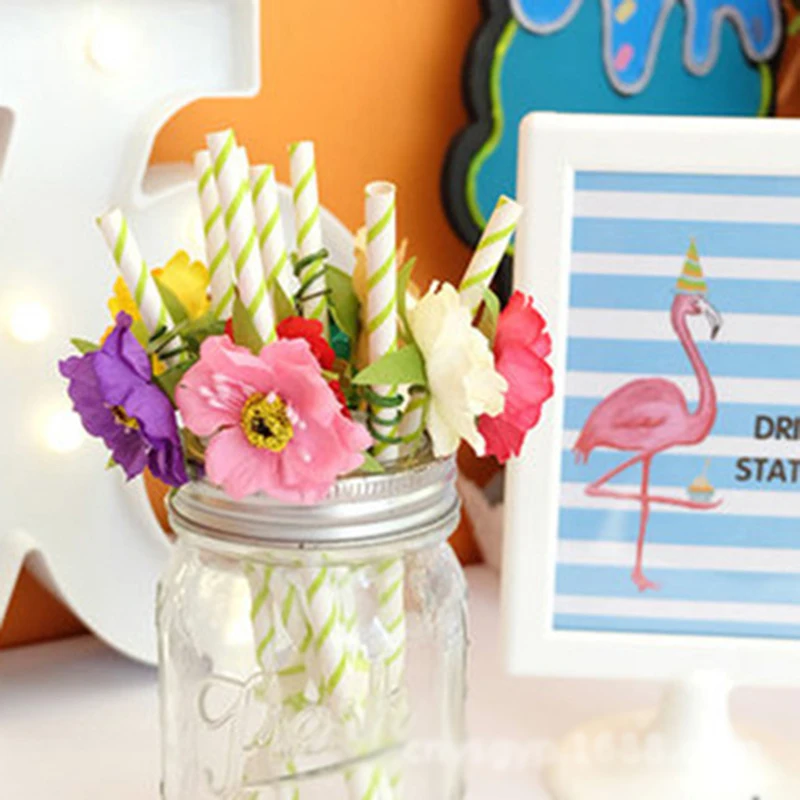 6 PCS cocktail drinking straw flower novel bar decorate wedding party Christmas holiday party supplies 
6 PCS cocktail drinking straw flower novel bar decorate wedding party Christmas holiday party supplies