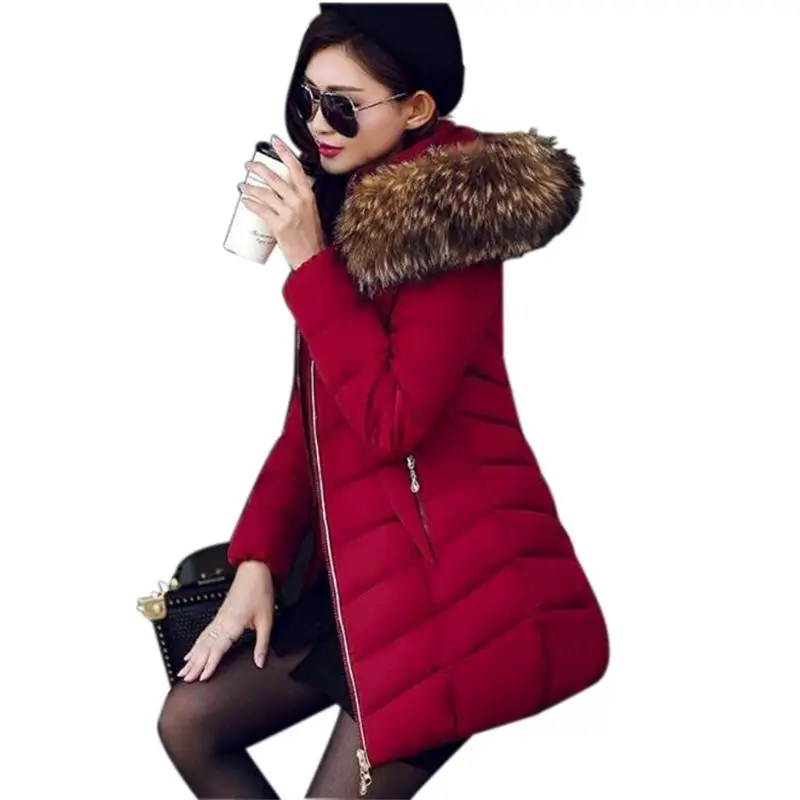 Promotion price!2017 NEW Fashion Winter Coat Women Parka Large Real Raccoon Fur Collar Winter Jackets Female Warm Down Outerwear 
Promotion price!2017 NEW Fashion Winter Coat Women Parka Large Real Raccoon Fur Collar Winter Jackets Female Warm Down Outerwear