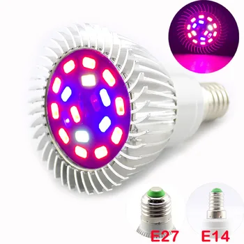 18 Led full spectrum room Plant Grow light cultivo phyto lamp flower E27 E14 bulb growing aluminum veg for indoor greenhouse
18 Led full spectrum room Plant Grow light cultivo phyto lamp flower E27 E14 bulb growing aluminum veg for indoor greenhouse