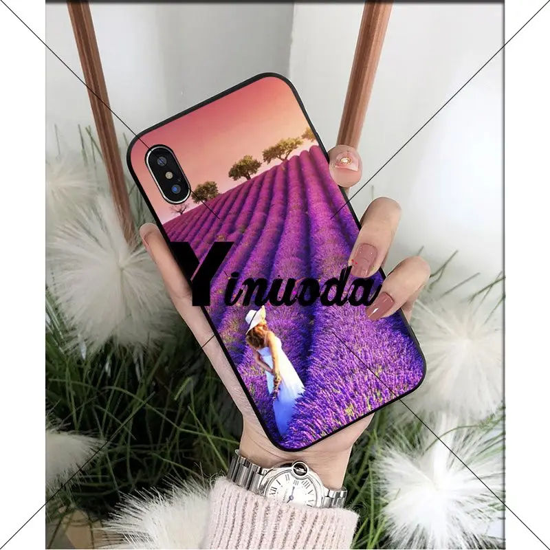 Simple lavender Purple flowers