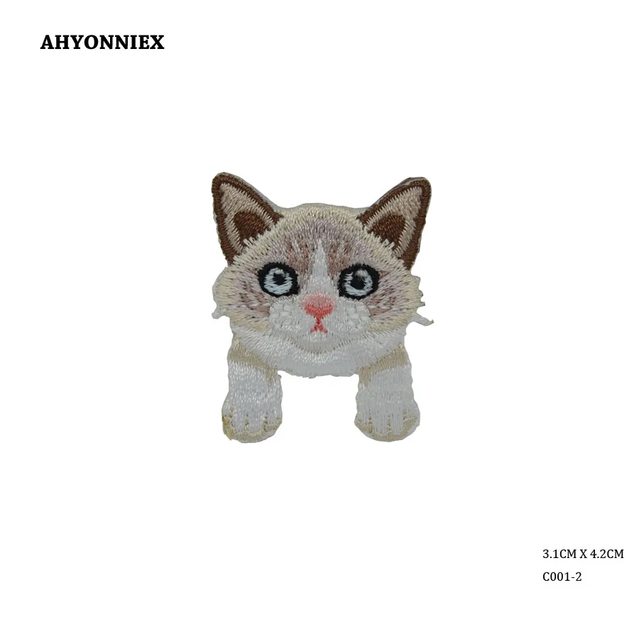 CAT 2-1
