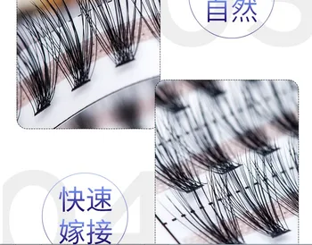 New high quality 8-12mm 60 bundles Natural C Curl 30D Black 0.05mm silk Lash False Eyelashes Extension Beauty Big eye tools
New high quality 8-12mm 60 bundles Natural C Curl 30D Black 0.05mm silk Lash False Eyelashes Extension Beauty Big eye tools