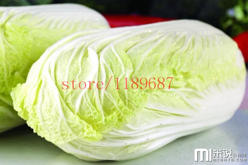 200 PCS Chinese cabbage plants, golden cabbage, easy to grow - nutritious Bonsai vegetables for home garden planting
200 PCS Chinese cabbage plants, golden cabbage, easy to grow - nutritious Bonsai vegetables for home garden planting