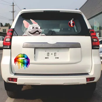 3pcs Car Decal Adorable Dog Rainbow Lips Smoking Forbidden Car Decorative Sticker CSL88
3pcs Car Decal Adorable Dog Rainbow Lips Smoking Forbidden Car Decorative Sticker CSL88