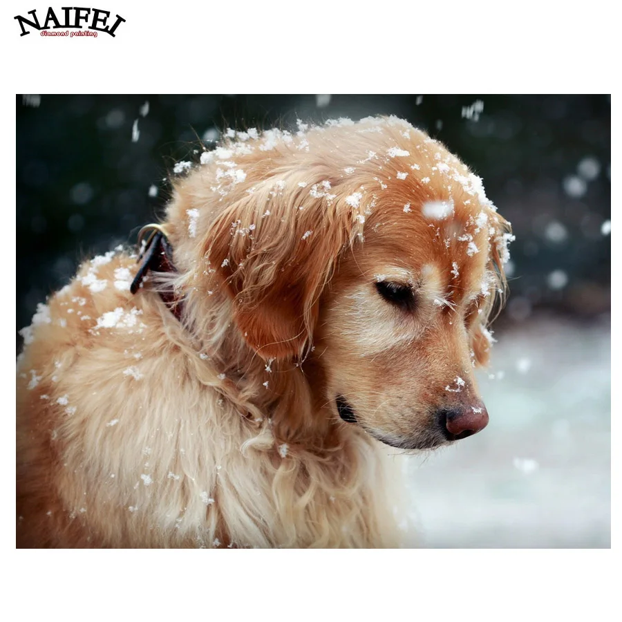 Diy Diamond Painting Cross Stitch dog Diamond Embroidery scenery Diamond Mosaic Household Decoration Full Square Drill stickers
Diy Diamond Painting Cross Stitch dog Diamond Embroidery scenery Diamond Mosaic Household Decoration Full Square Drill stickers
