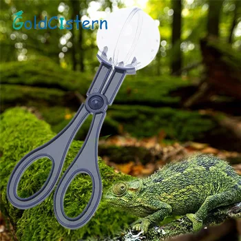Pet Insect Reptile Terrarium Aquarium Litter Blue Poop Clamp Cleaning Tool Kit Set 
Pet Insect Reptile Terrarium Aquarium Litter Blue Poop Clamp Cleaning Tool Kit Set