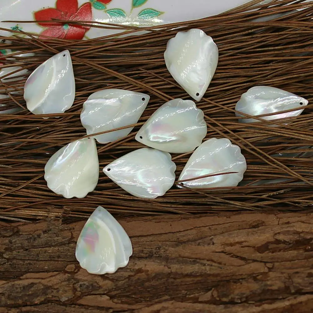 20pc White Sea Shell Petals Carved Natural Mother Of Pearl Shell Beads Flower DIY Findings Loose Bead For Jewelry Making DYL0014
20pc White Sea Shell Petals Carved Natural Mother Of Pearl Shell Beads Flower DIY Findings Loose Bead For Jewelry Making DYL0014