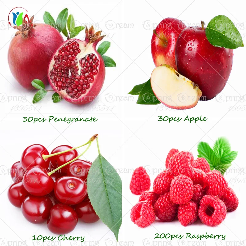 4 Kind Fruitbonsai Fruit Tree Vegetable And Fruit Delicious cherry. Pomegranate. Raspberry. Apple Total 100+pcs
4 Kind Fruitbonsai Fruit Tree Vegetable And Fruit Delicious cherry. Pomegranate. Raspberry. Apple Total 100+pcs
