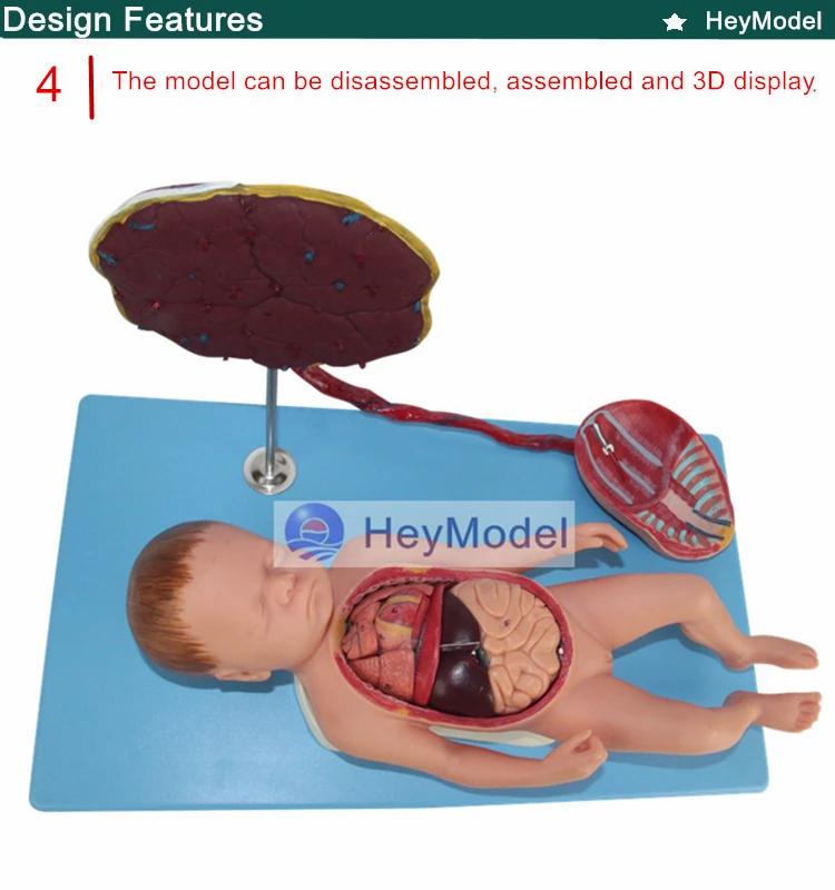 4 _