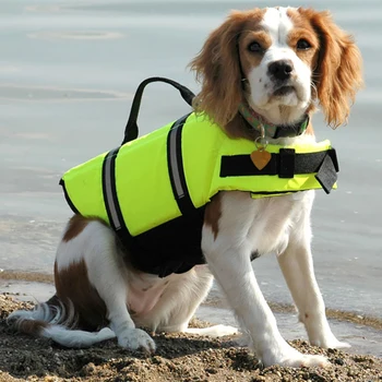 Summer Dog Life Vest Reflective Safety Dog Clothes Life Jacket Pet Swimming Clothing for Dogs Puppy French Bulldog Pug Swimwear
Summer Dog Life Vest Reflective Safety Dog Clothes Life Jacket Pet Swimming Clothing for Dogs Puppy French Bulldog Pug Swimwear