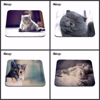 Staring cat Mouse Pad Computer aming Mouse Pad amer Play Mats for Size 18*22cm and 25*29cm And 25*20cm
Staring cat Mouse Pad Computer aming Mouse Pad amer Play Mats for Size 18*22cm and 25*29cm And 25*20cm